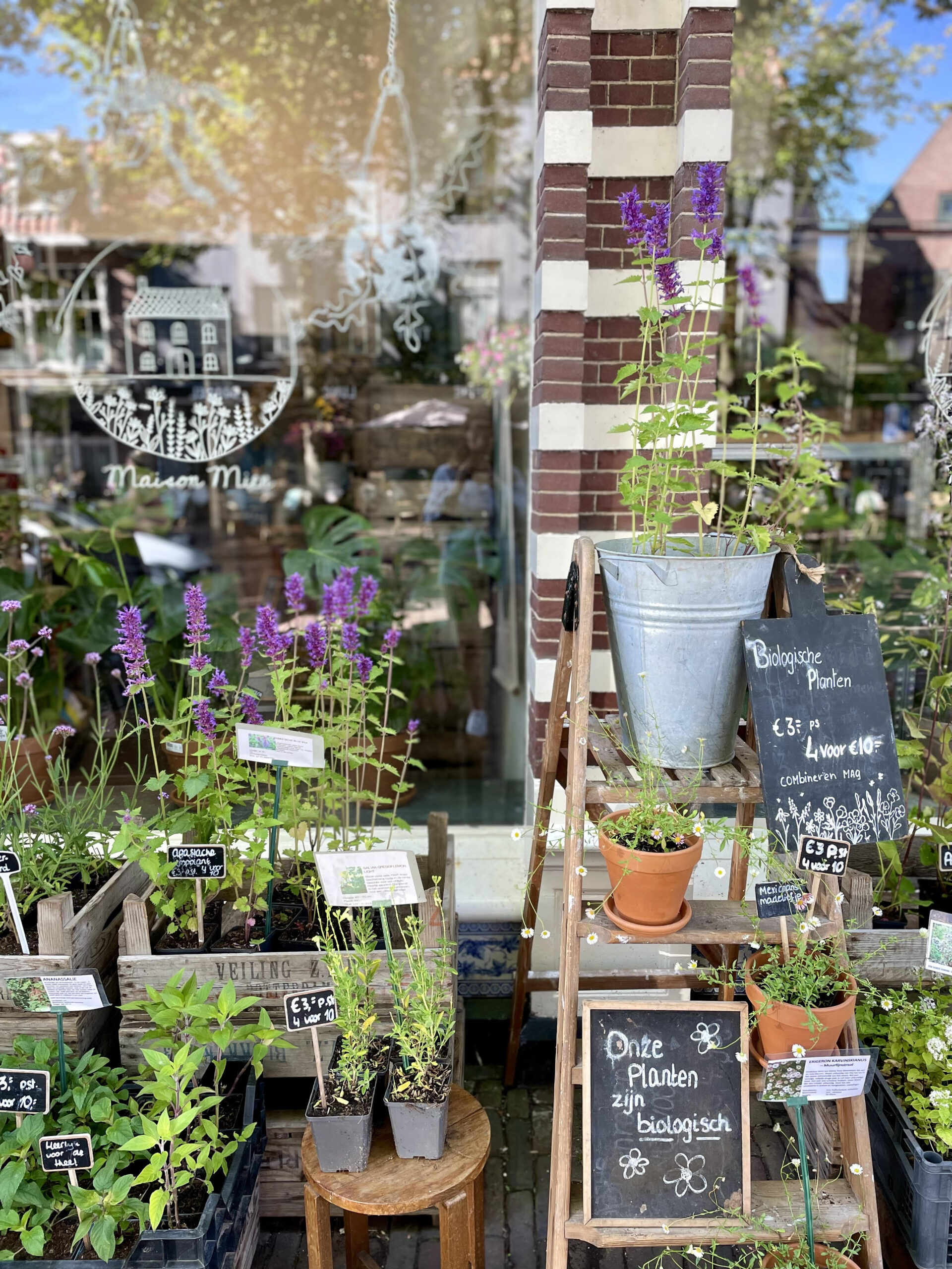 De kracht van ondergrondse kwaliteit: biologische buitenplantjes van Maison Mien 