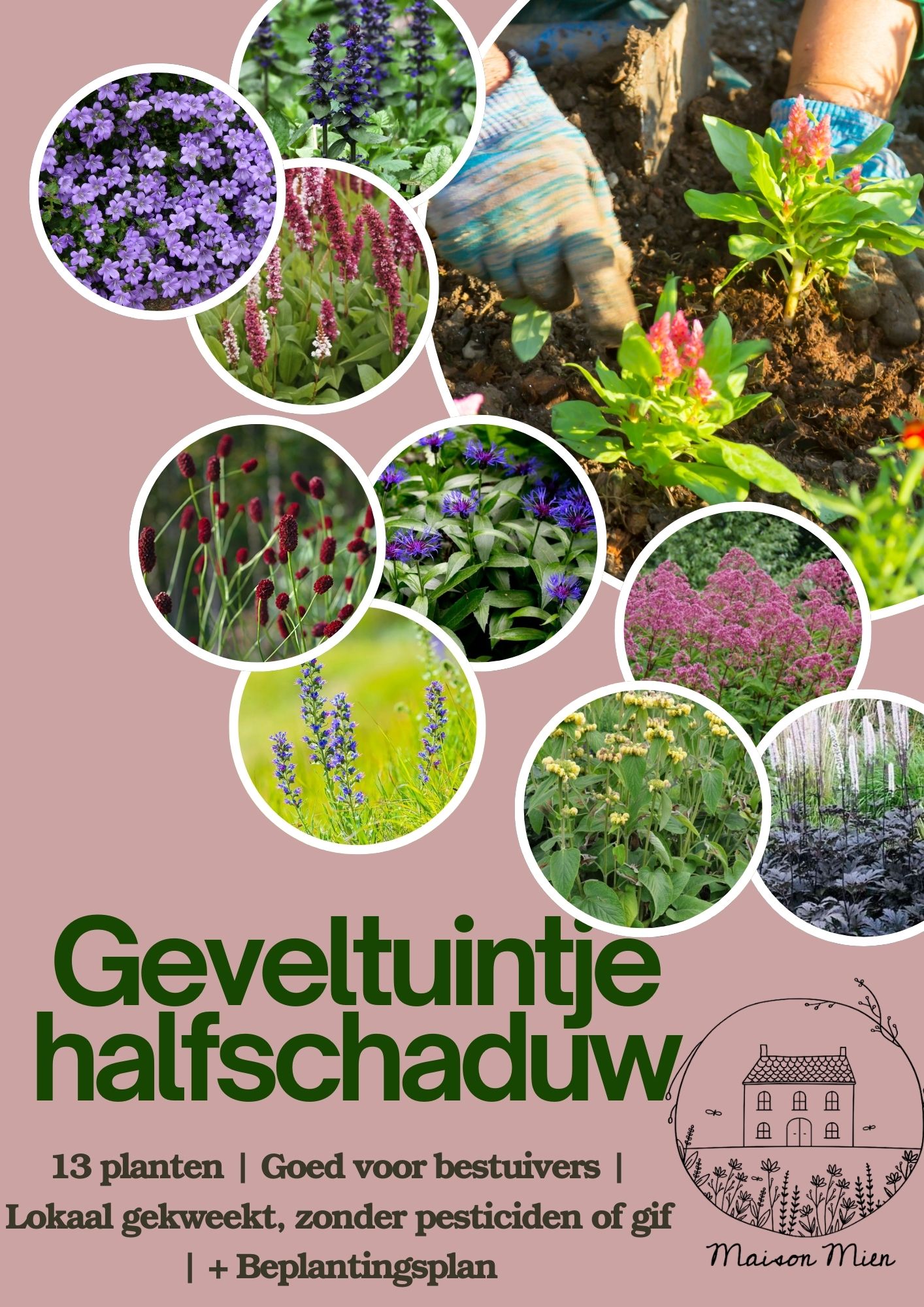 Geveltuintje halfschaduw